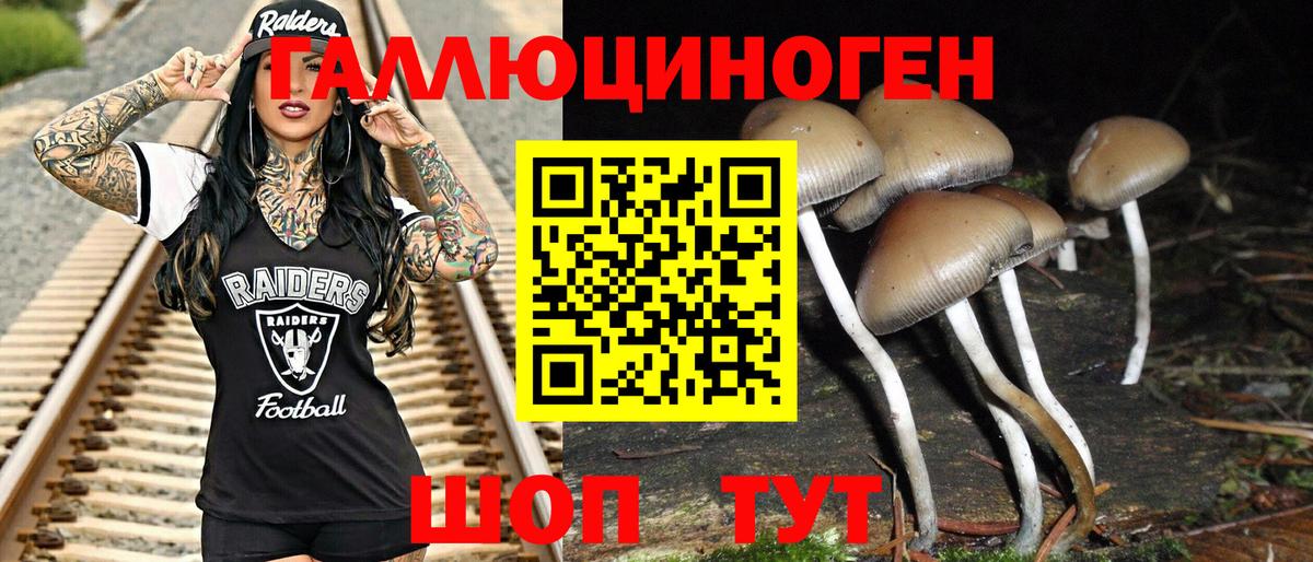 Псилоцибиновые грибы мицелий Курчатов