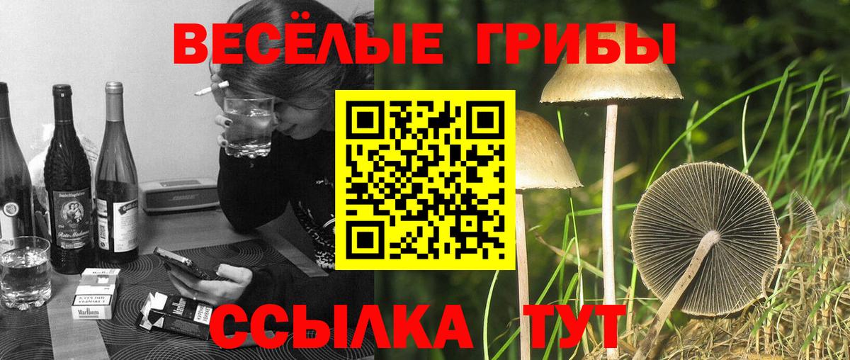 Галлюциногенные грибы мухоморы  Галлюциногенные грибы Psilocybine cubensis  Курчатов  Вход с VPN 