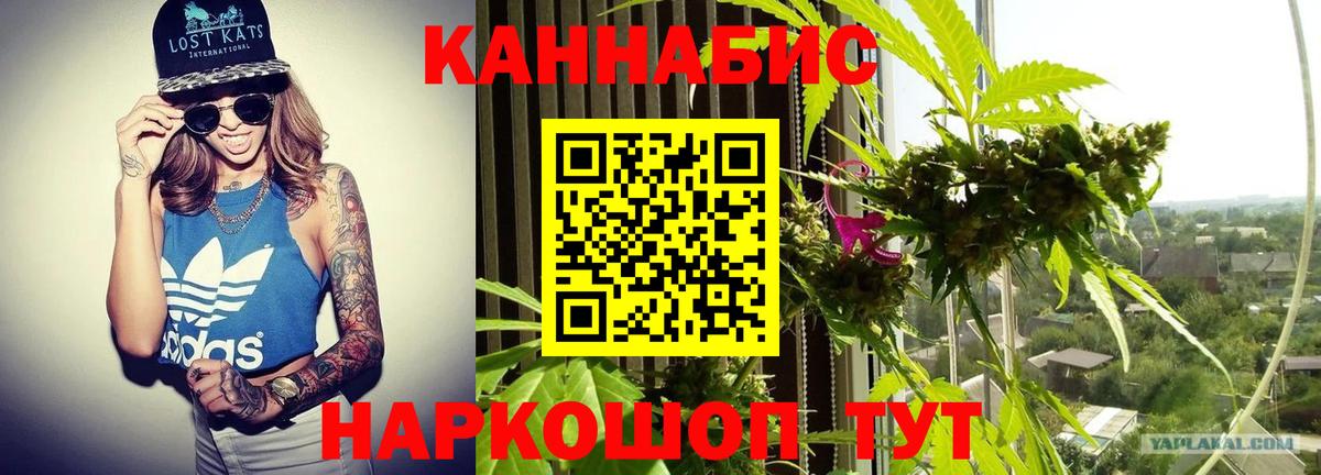 Курчатов  Каннабис гибрид  Вход с VPN  Шишки марихуана тримм  Бошки марихуана THC 21%  Каннабис MAZAR 